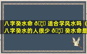 八字癸水命 🦈 适合学风水吗（八字癸水的人很少 🦟 癸水命是最烂的命）